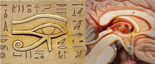 REVEALED: Top Secret Method of America’s # 1 “Psychic Spy” Unlocks Infinite Abundance and Prosperity…